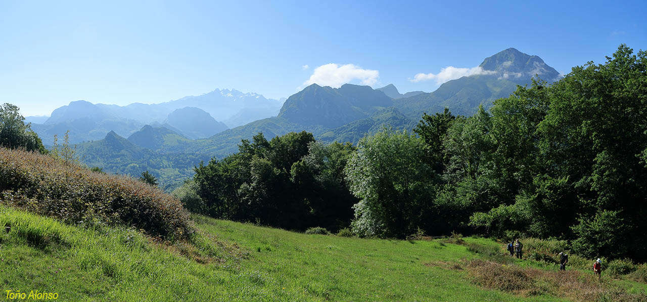 A 2019-06-16 10-12-42